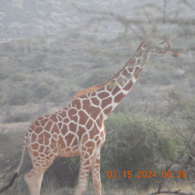 81b7b339-3570-4701-bf12-f850e57a0030