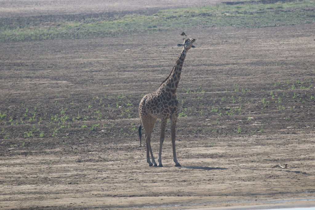 ec22d032-c39a-46e8-9213-02e56f8a0205