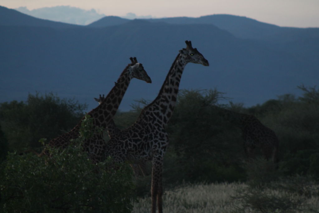 9f8e3609-dd2f-4eea-b6fc-c327d49b1a7a