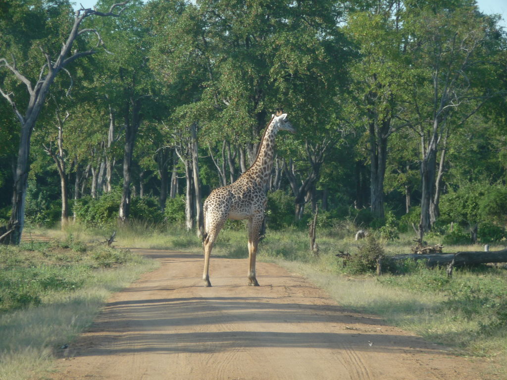 9cb597eb-1835-4a2c-b024-4dee9165f1c4