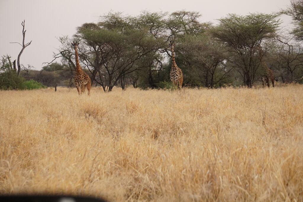 2b1ee0e3-4c01-4291-bc27-baff6685431a