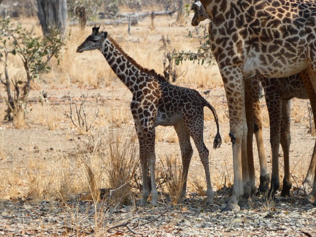 e79876a2-3ca7-4b5c-aae0-83658b714a96