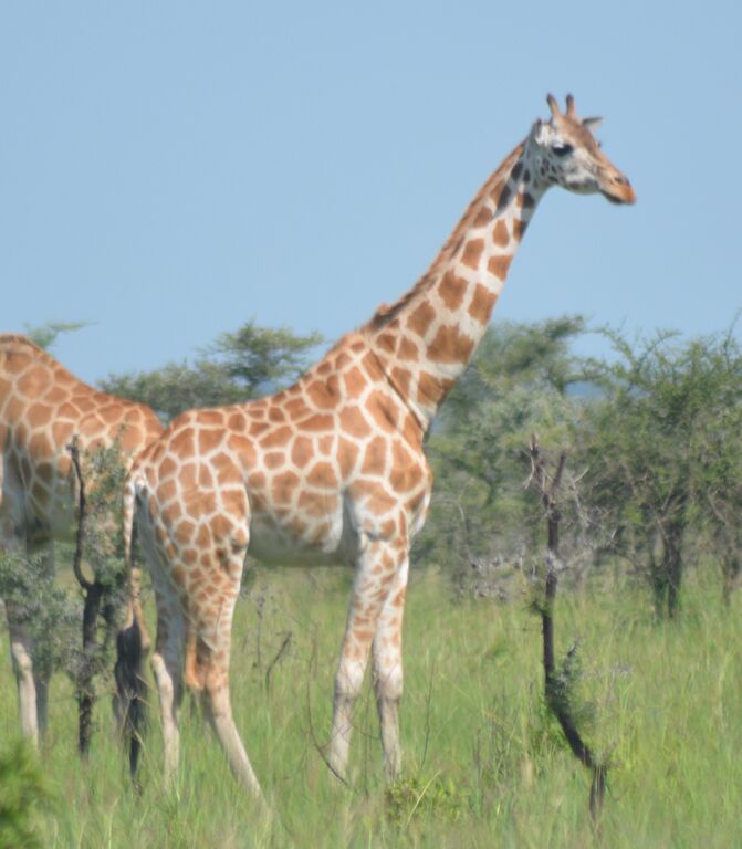 547bc5ba-c41d-48da-872a-2073ca24e260