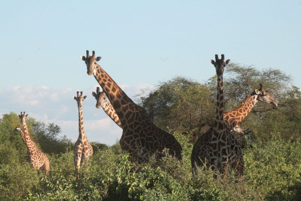 4bc78cec-d44f-47a8-ba2d-092e30c05d2a