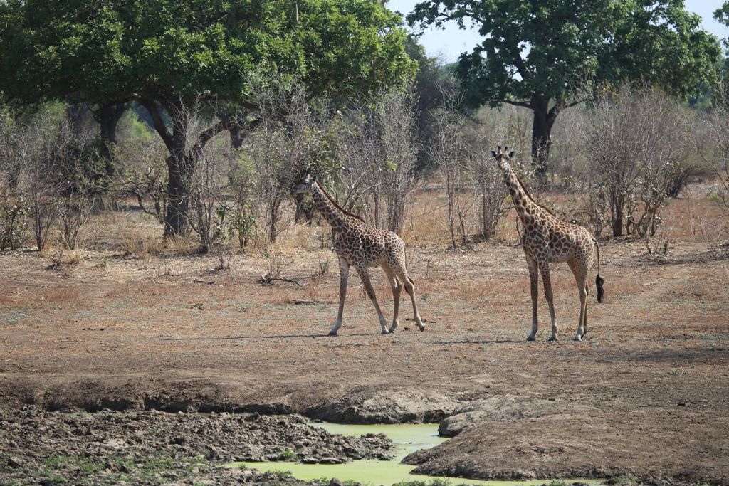 8a658f47-6b4a-4b6a-b36b-bf0ce601d45d