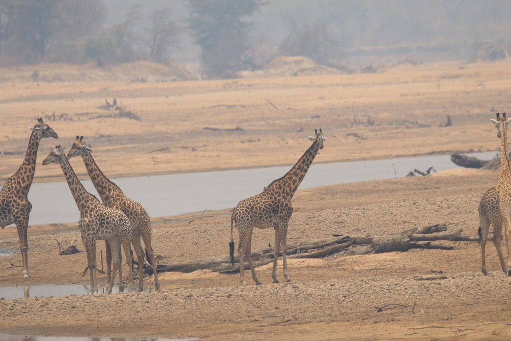 78945f73-e9f6-492c-aa12-91e2c14b21a9