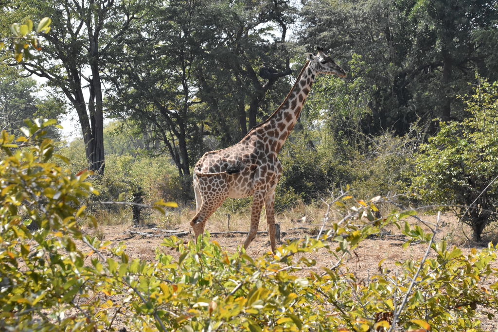 0789c68b-a460-471a-a116-65e7961fa205