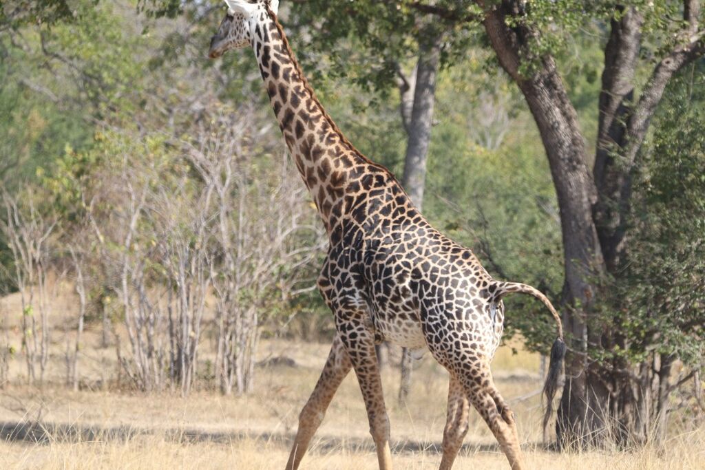 c6fa6877-5e16-45af-a627-81c583e0905f