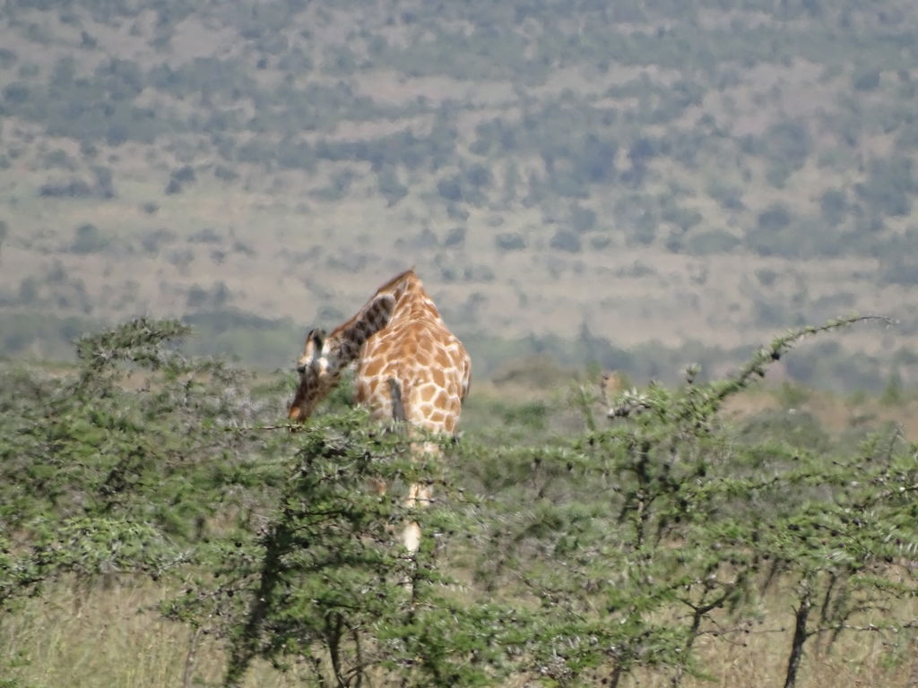 8d744550-7c29-4675-84b4-10c3b119efe7