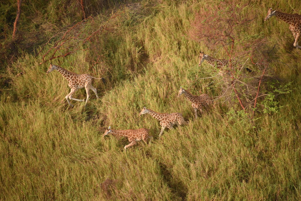 aa6d06ae-5219-4599-94ef-c95aadd8414c