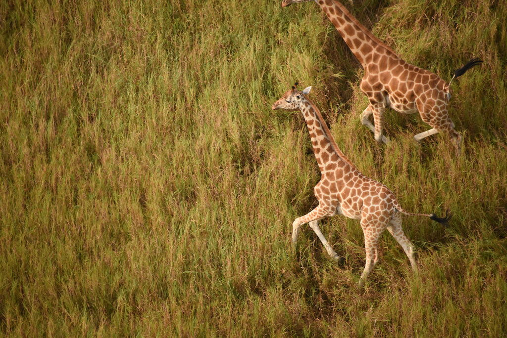 aa6d06ae-5219-4599-94ef-c95aadd8414c