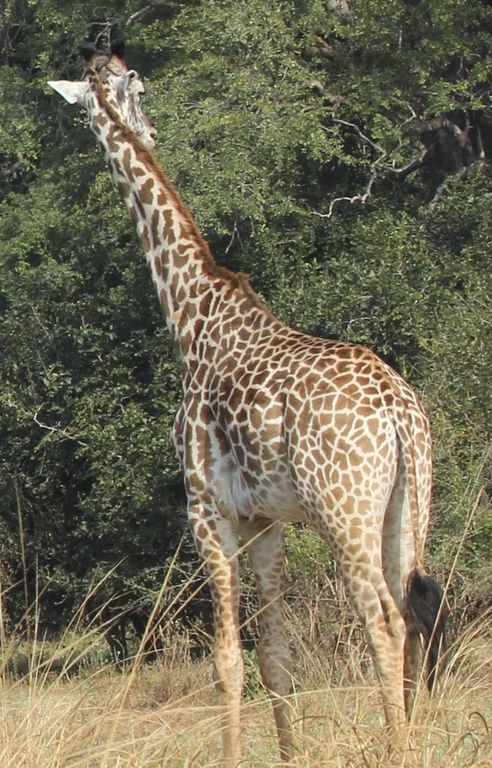 cba2683f-67b8-48d6-94f5-8bab1d558c54