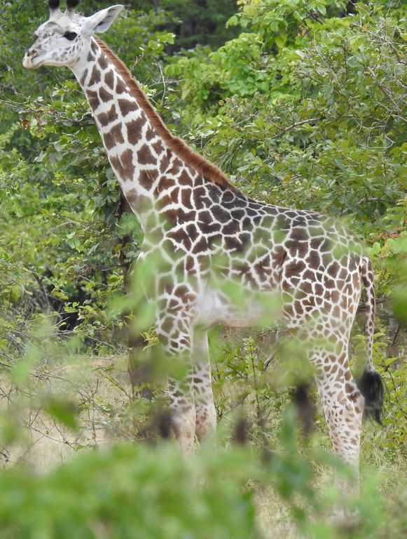 94816dbd-fa7d-4088-a90c-8715ecd8207c