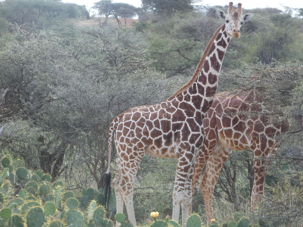 ac6871de-5100-4cbe-9276-eea8848183b4