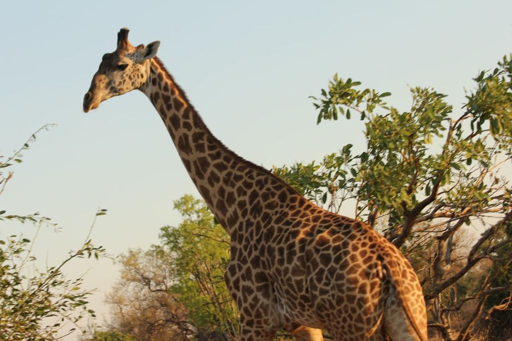 f8cd9ab2-60a9-4782-a0a9-2e3eac53ffc4