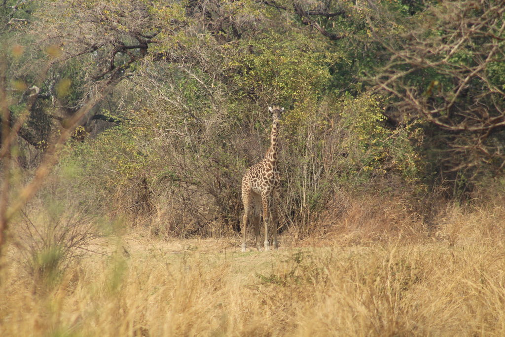 ec22d032-c39a-46e8-9213-02e56f8a0205