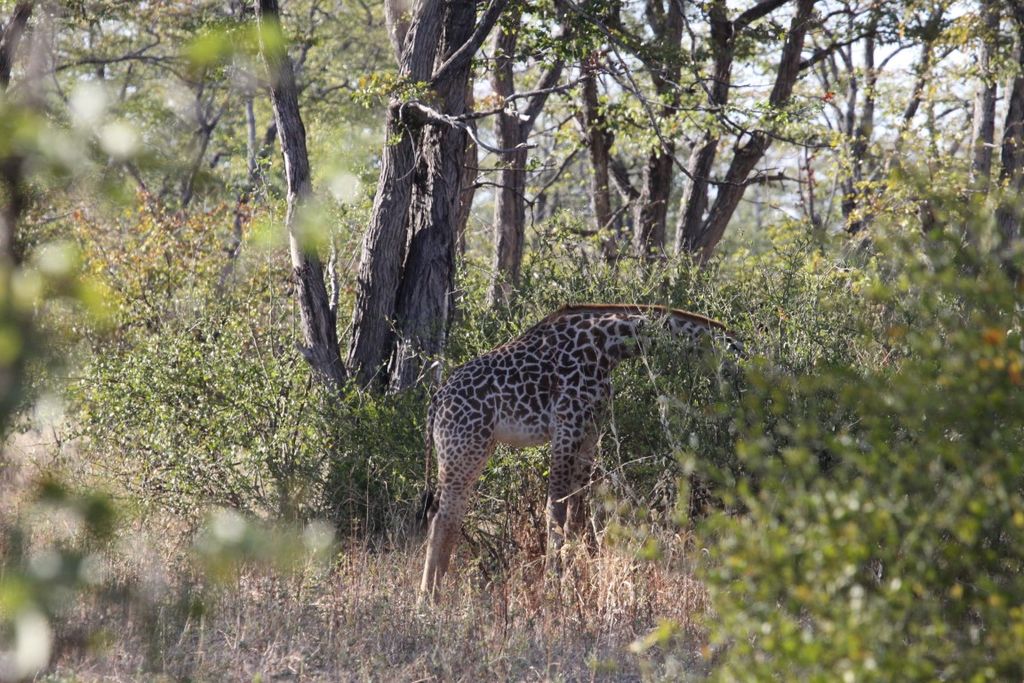 72bf30d9-2061-45ad-abbd-ee099ecb8ba8