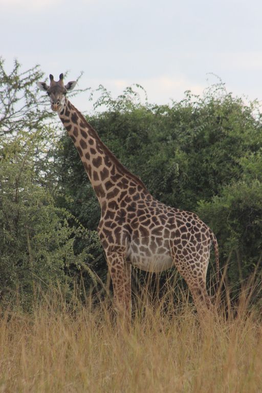 0789c68b-a460-471a-a116-65e7961fa205