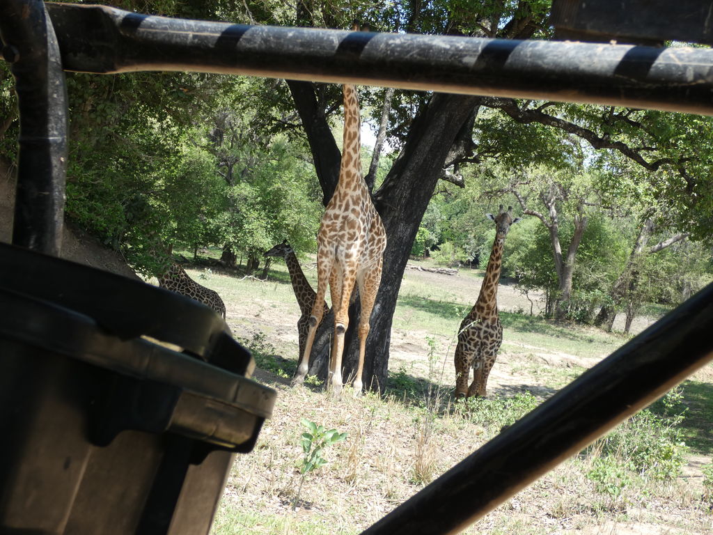 2e2d9709-f2c9-4a04-b44a-42941c0b511d