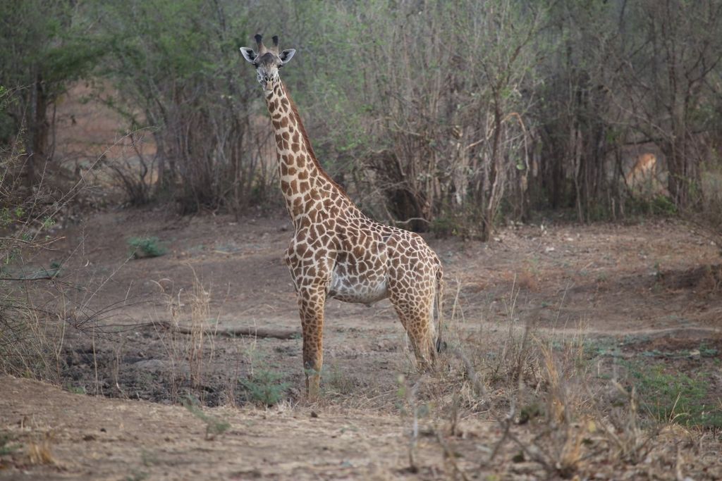 97ea1d32-00b8-4d65-900a-9f571ab830fd