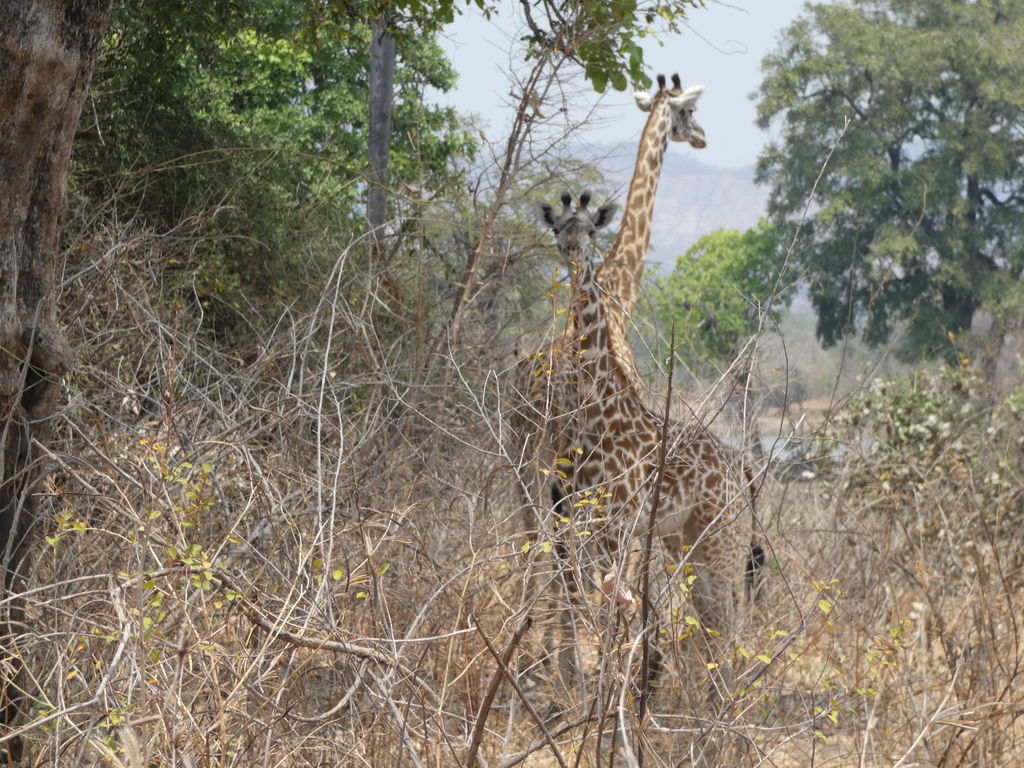 94816dbd-fa7d-4088-a90c-8715ecd8207c