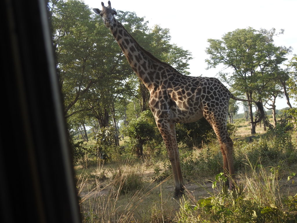 7a676962-cf12-4fd0-bb06-eee16c169ccf