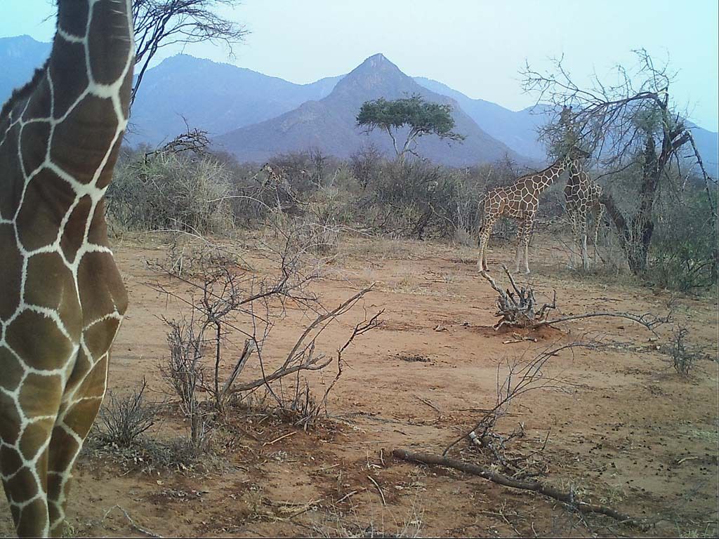 b7bd8dce-f7ec-4ab6-b1db-6cb353fe8a87