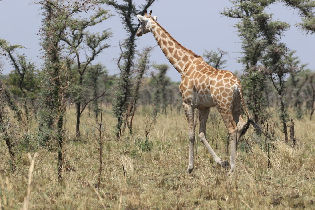 547bc5ba-c41d-48da-872a-2073ca24e260