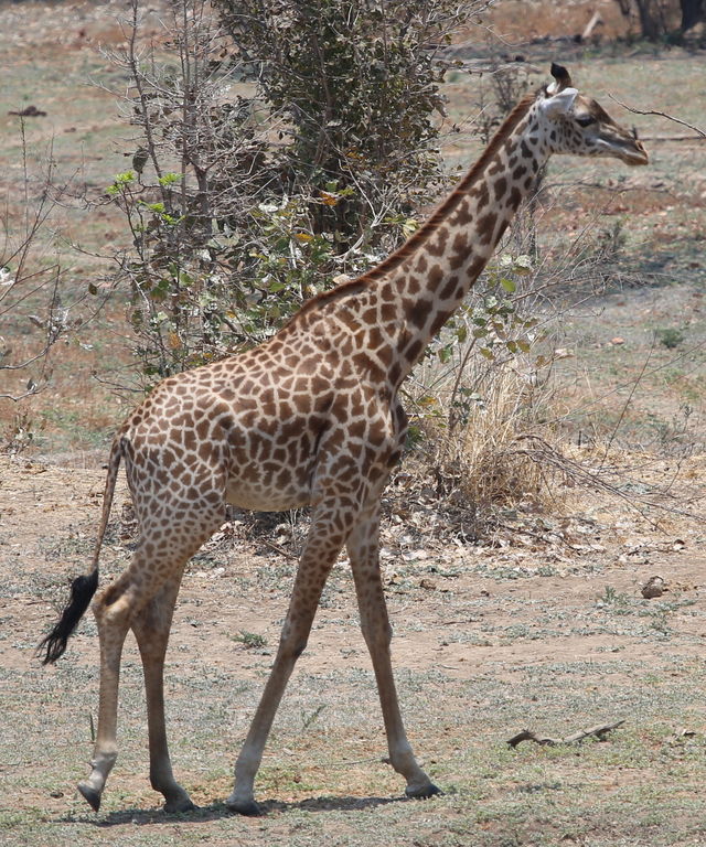 8a658f47-6b4a-4b6a-b36b-bf0ce601d45d