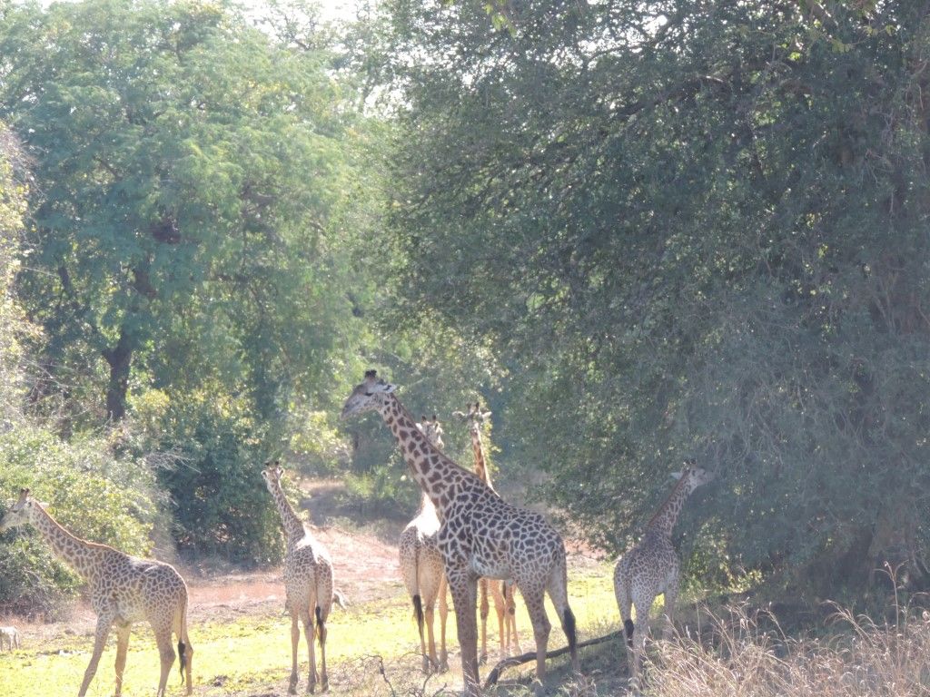 eb6d70e5-6af2-473a-902a-a62f8eb1a98c