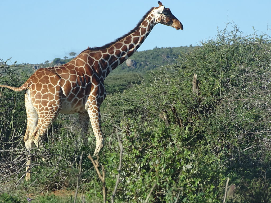 8d744550-7c29-4675-84b4-10c3b119efe7