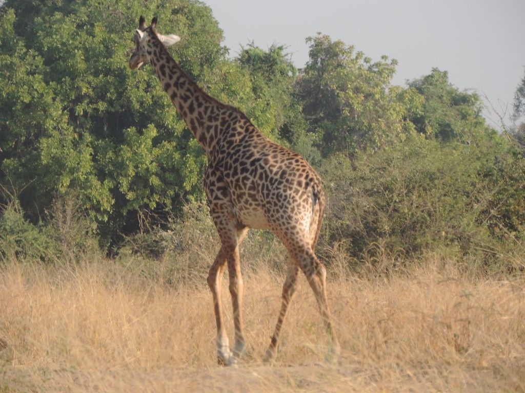 06c995d3-5e4e-4b6e-afb5-0a5bb3409f6e