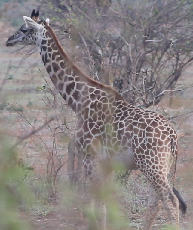 9b31fcf3-c9e8-4367-bec5-f1ddc650497e