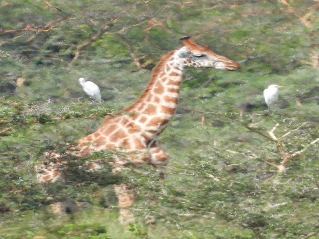 a6cbe553-821e-476e-a12b-945d2ce91459