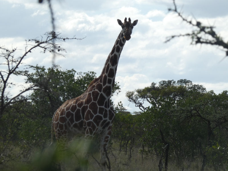 e671e67a-4566-4ed3-b9f2-74d457ff4e6c