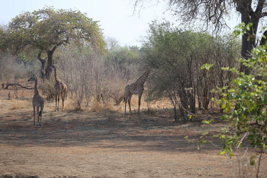 8a658f47-6b4a-4b6a-b36b-bf0ce601d45d