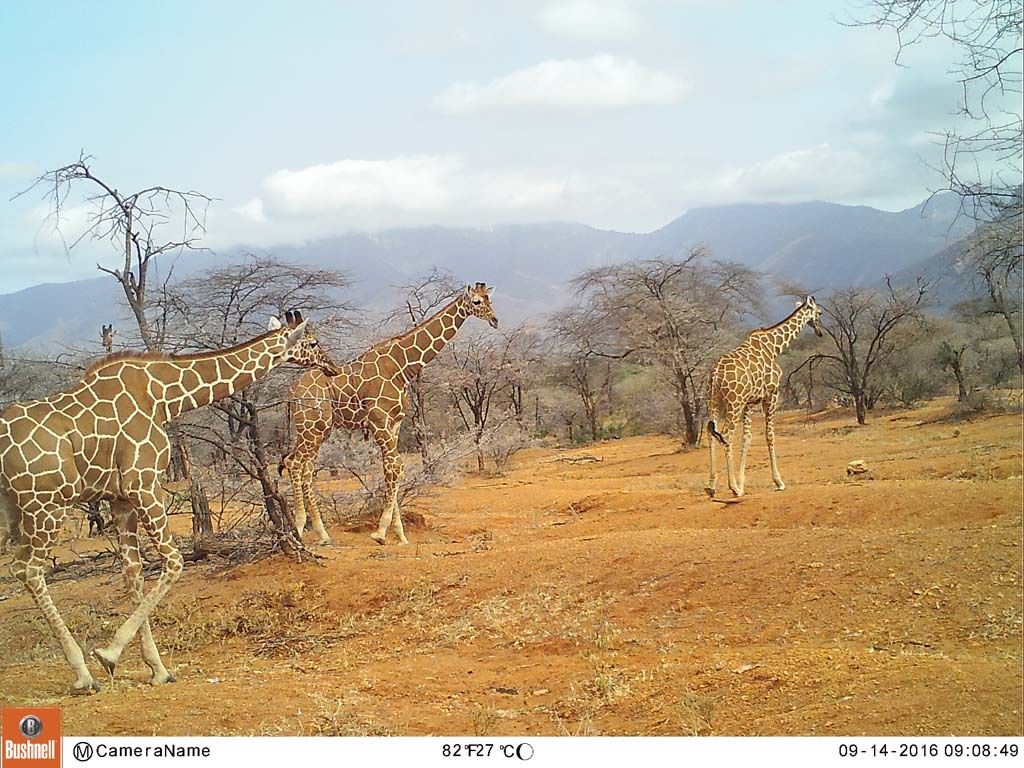 b7bd8dce-f7ec-4ab6-b1db-6cb353fe8a87