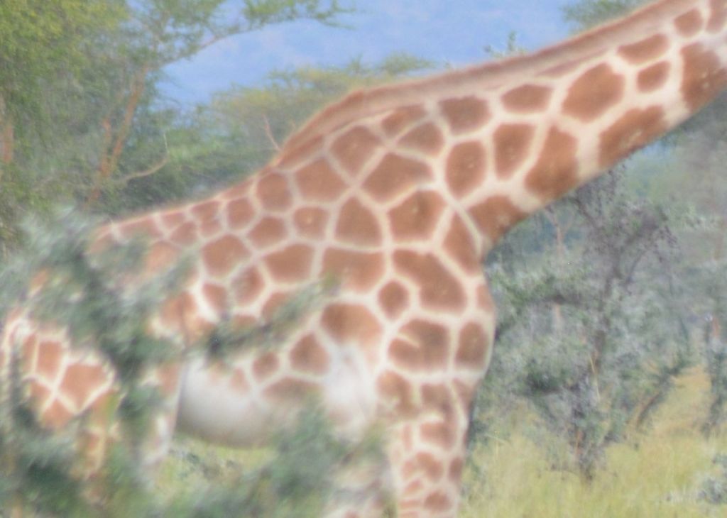 9f518e8b-a6b0-46a8-8f98-7f4aa61e9bee