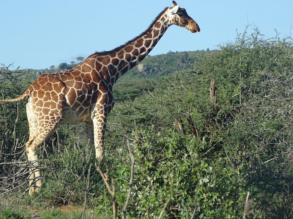 8d744550-7c29-4675-84b4-10c3b119efe7