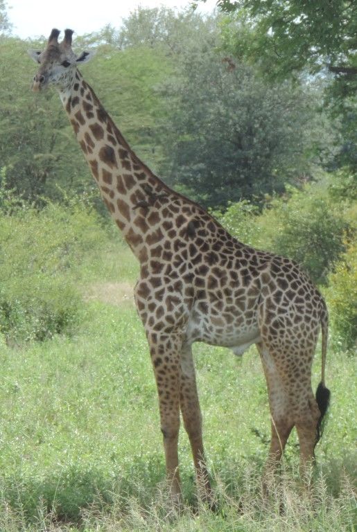 f8cd9ab2-60a9-4782-a0a9-2e3eac53ffc4