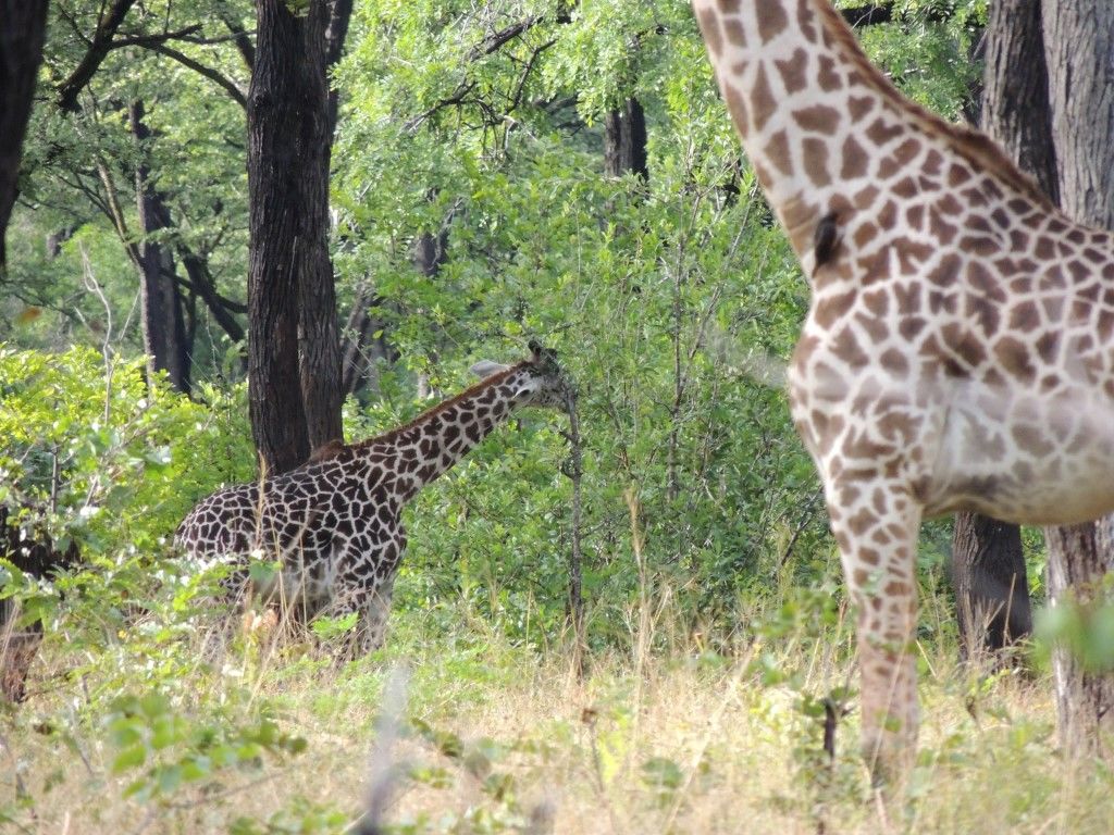 be9b4780-5a91-4048-a1bb-fdf69b2320f9