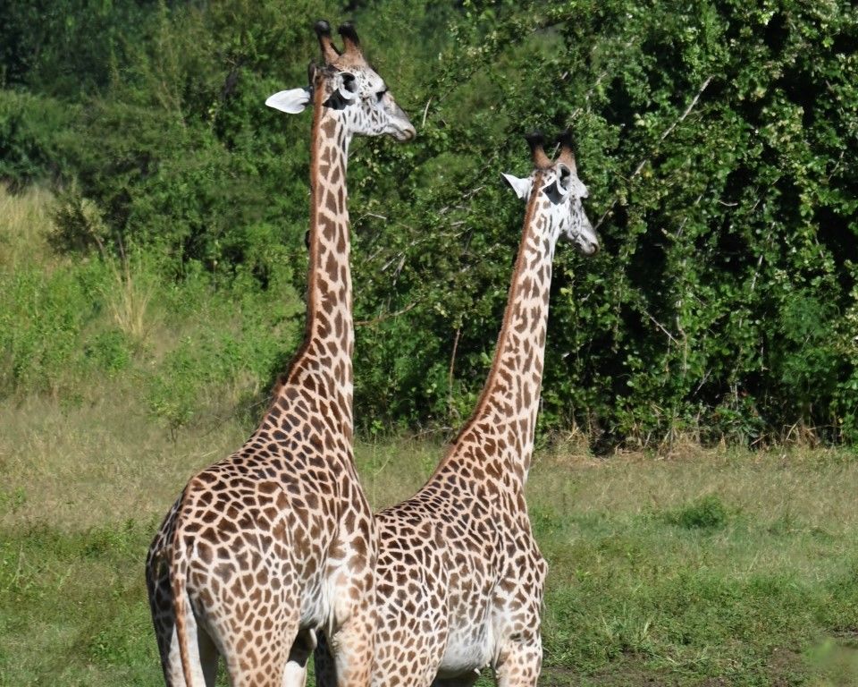 9cb597eb-1835-4a2c-b024-4dee9165f1c4