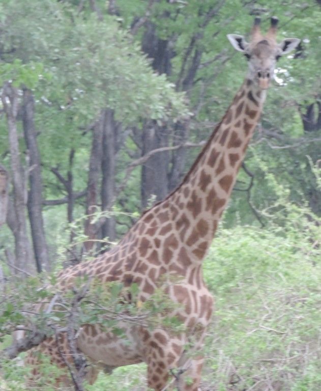 b3b9edb0-dbd9-4169-a6b6-bf8aadc168c4