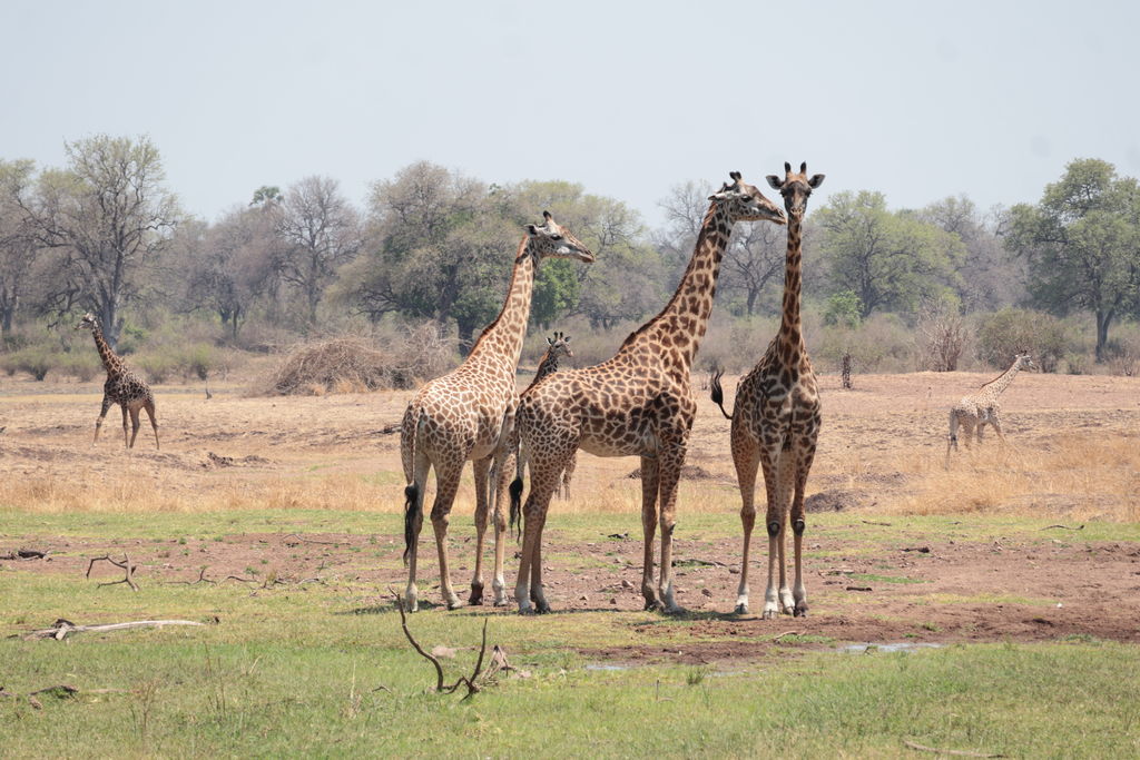 ecda2950-d136-495f-930b-5dbb882186a8