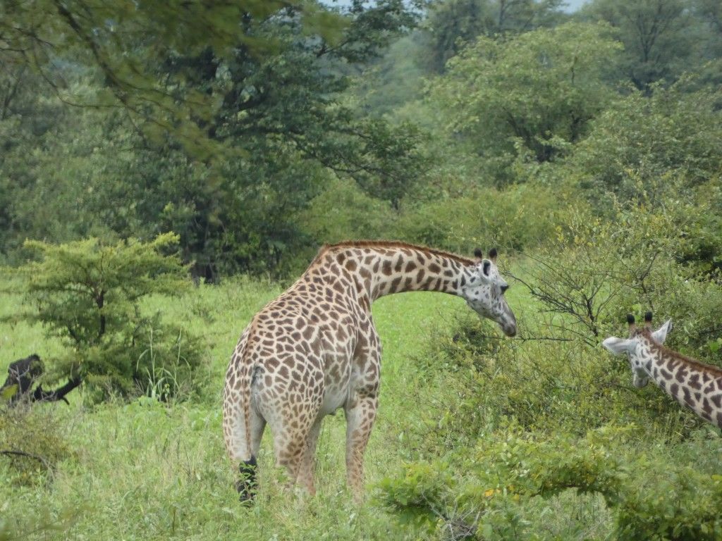 72bf30d9-2061-45ad-abbd-ee099ecb8ba8