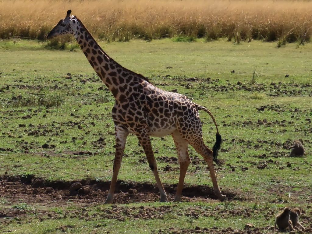 be9b4780-5a91-4048-a1bb-fdf69b2320f9