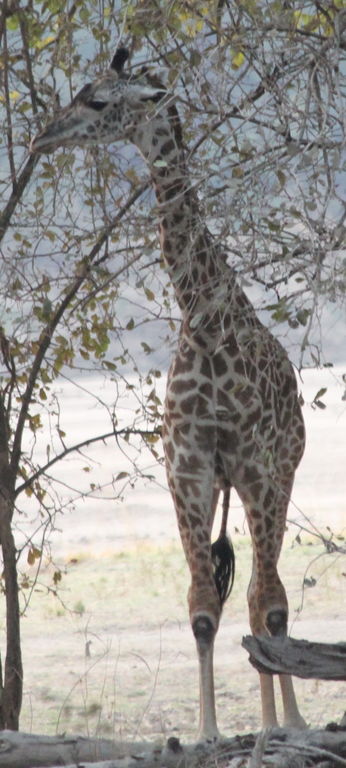 cba2683f-67b8-48d6-94f5-8bab1d558c54