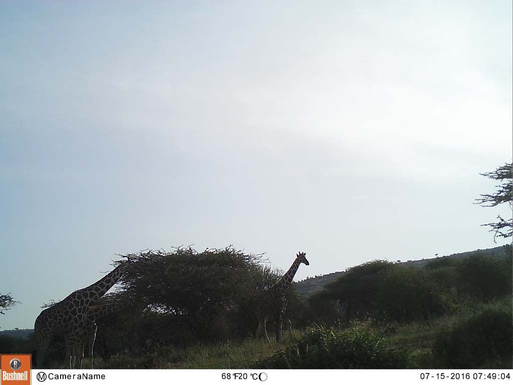 e037090d-b85e-4c26-8b28-b7cdd06bfc10