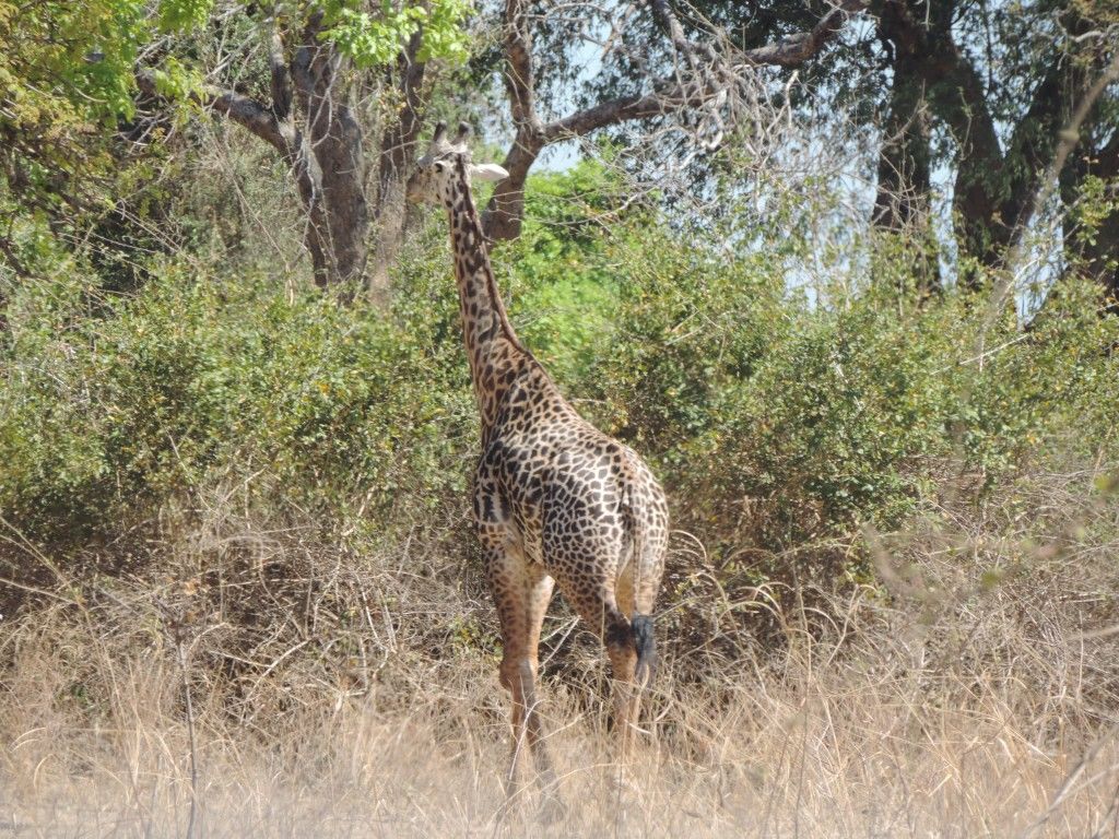 b415d376-17a0-419d-8f59-27ca9c96aa3e