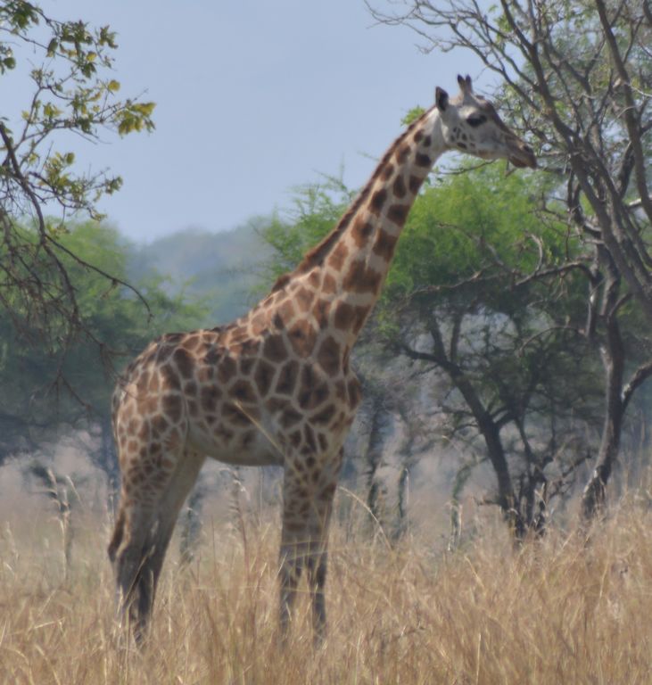 547bc5ba-c41d-48da-872a-2073ca24e260